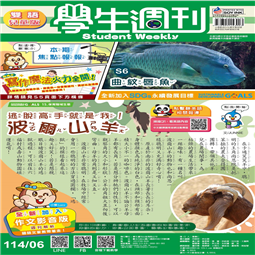 第06-09週