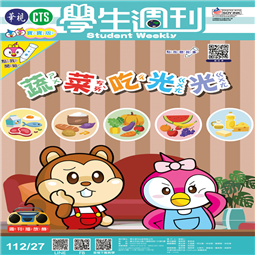 第27-31週