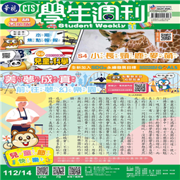 第14-17週-2