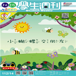第14-17週