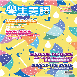 113年度11月上